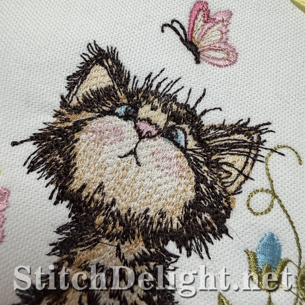 SDS3406 Scruffy Kitten