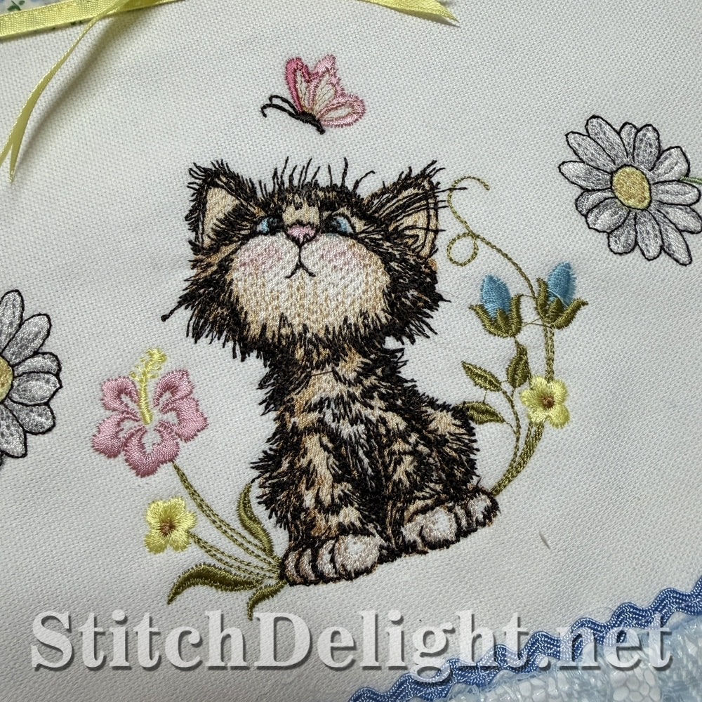 SDS3406 Scruffy Kitten