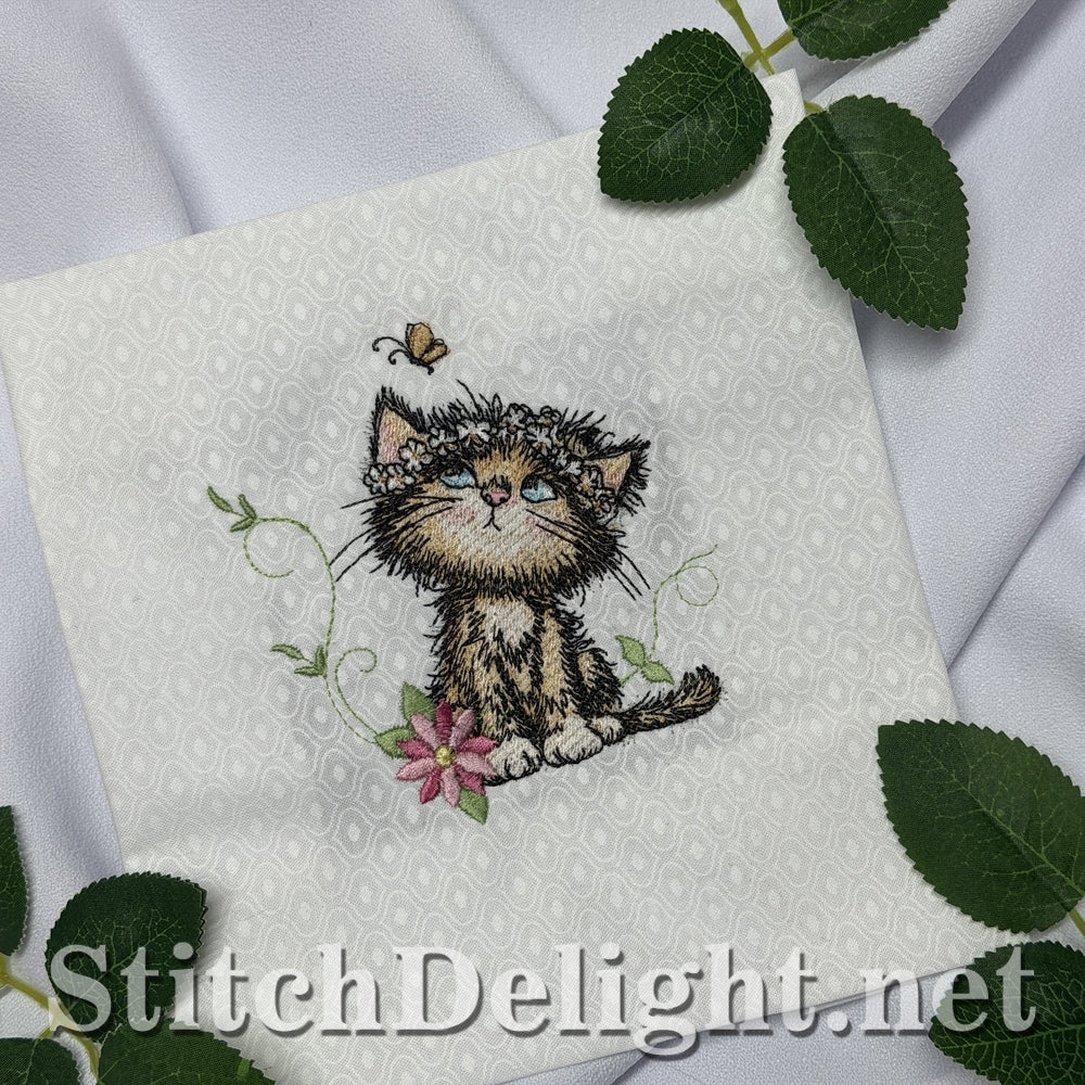 SDS3408 Scruffy Kitten 3