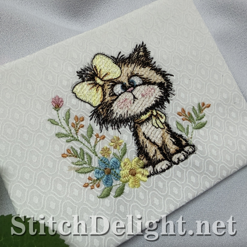 SDS3410 Scruffy Kitten 5