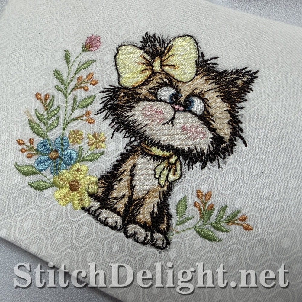 SDS3410 Scruffy Kitten 5