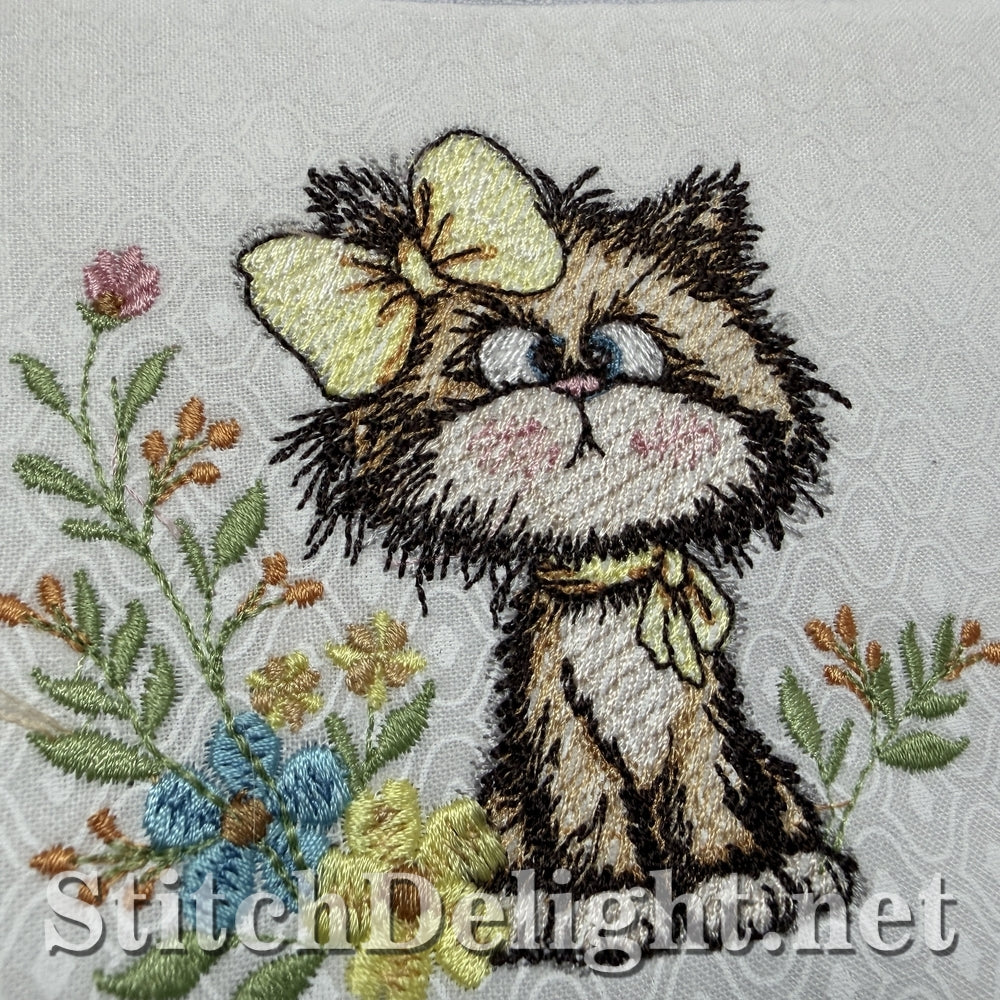 SDS3410 Scruffy Kitten 5