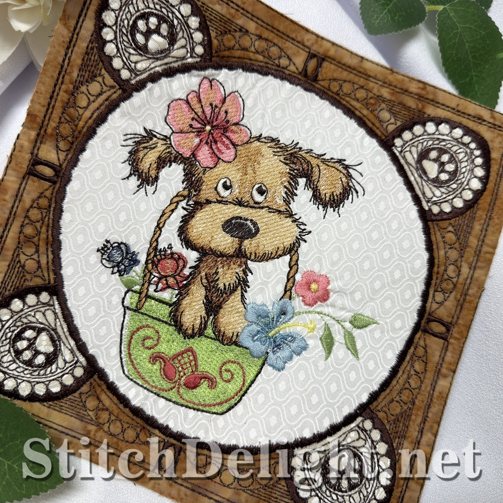 SDS3415 Adorable Puppy 2