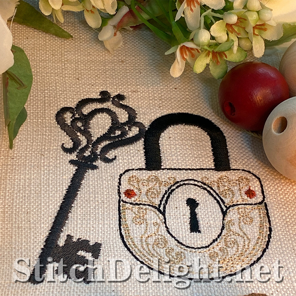 SDS3167 Lock and Key 2 of 4