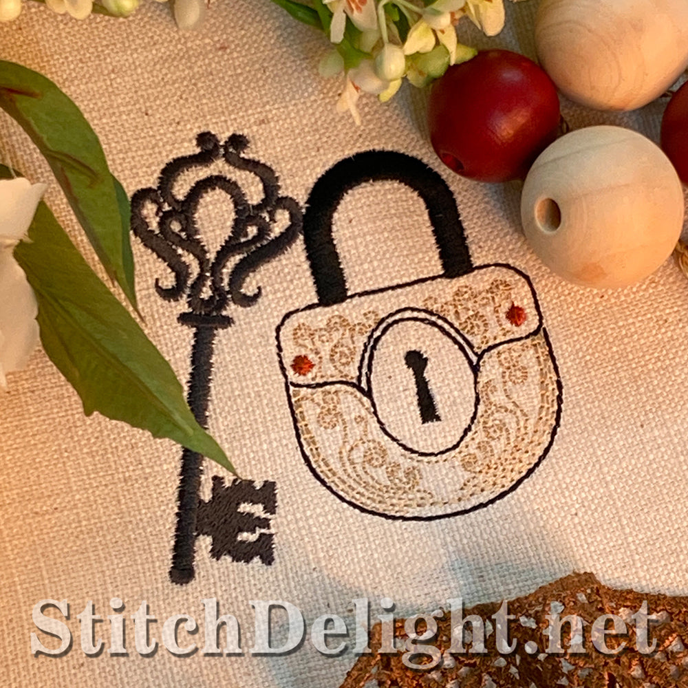 SDS3167 Lock and Key 2 of 4