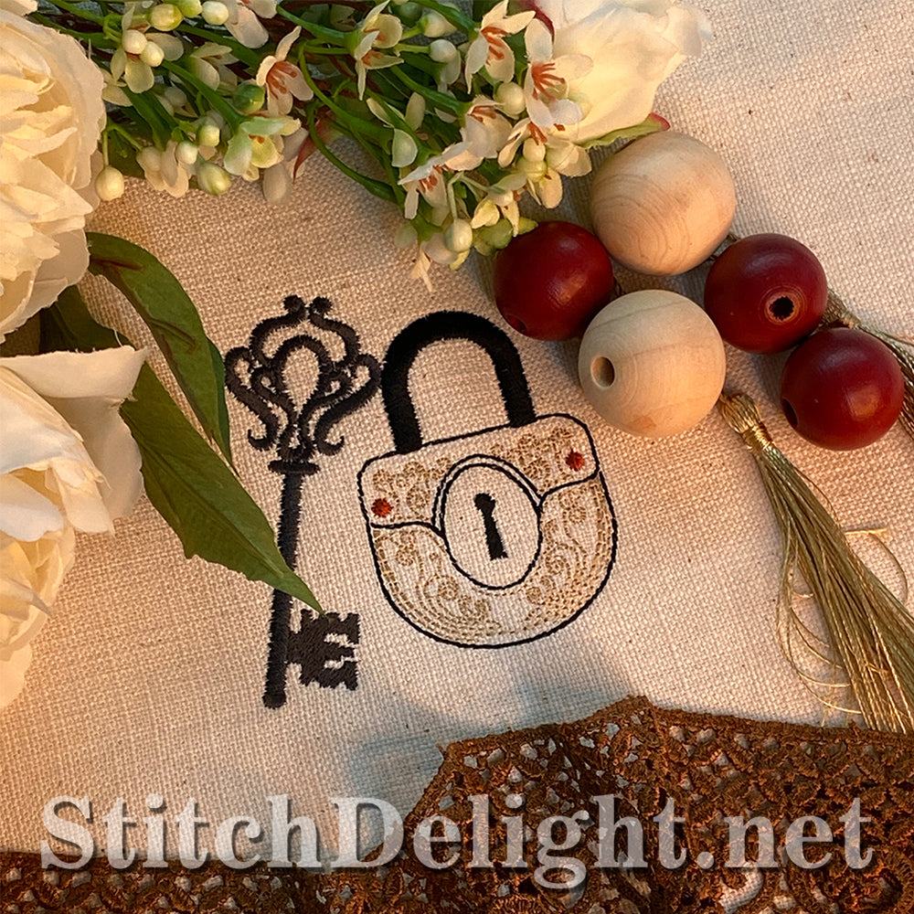 SDS3167 Lock and Key 2 of 4