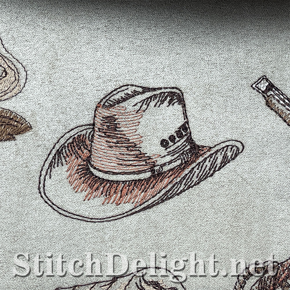 SDS3248 The Wild West