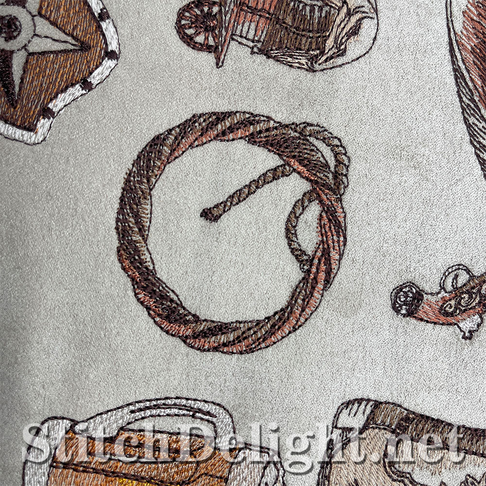 SDS3248 The Wild West