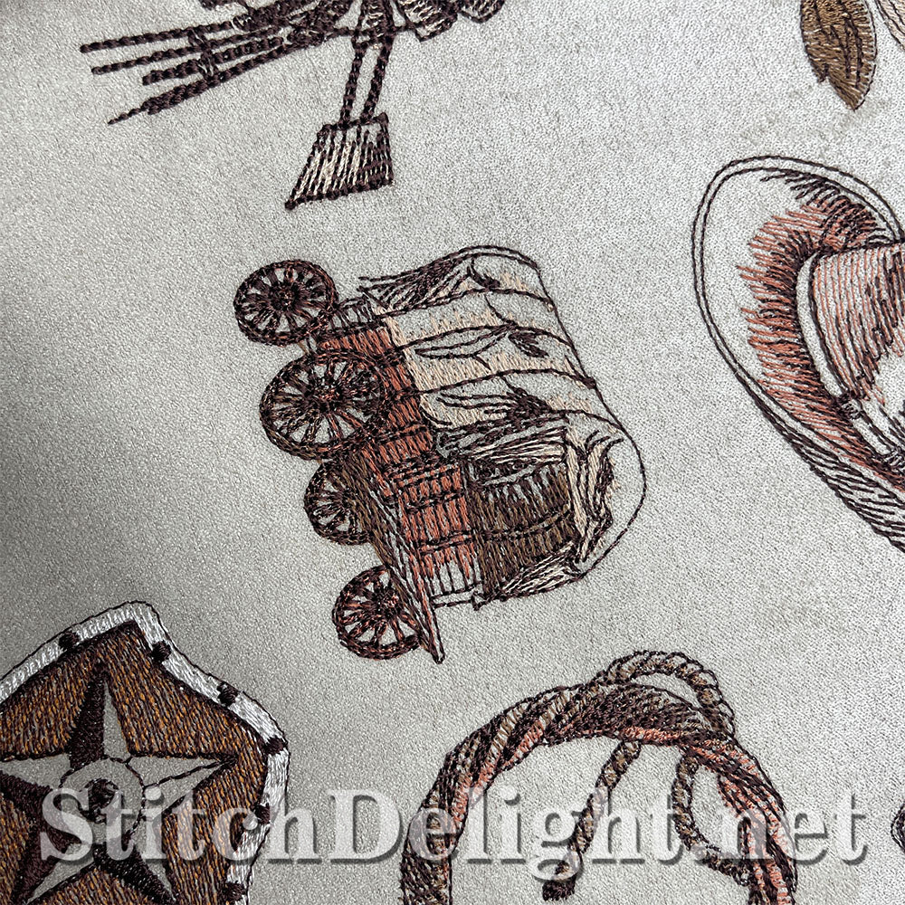 SDS3248 The Wild West