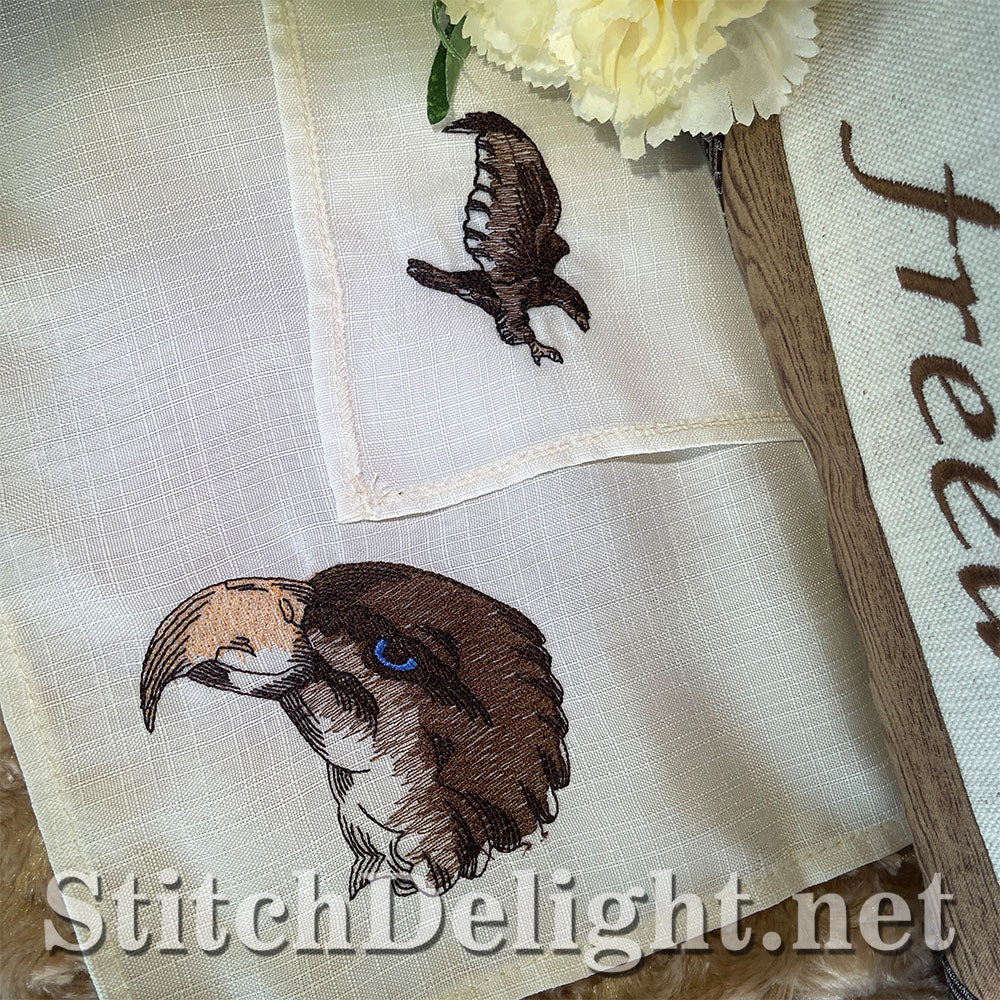 SDS3262 Soaring High