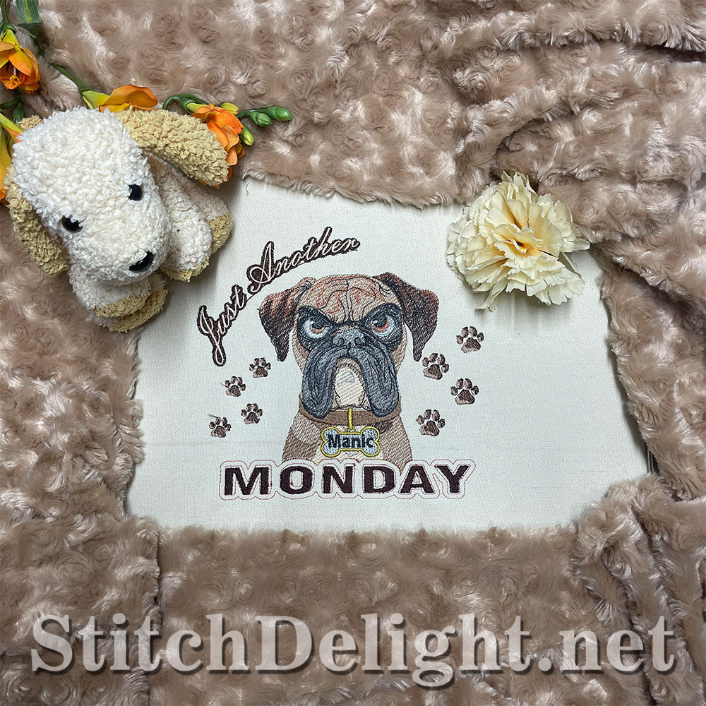 SDS3281 Monday Madness