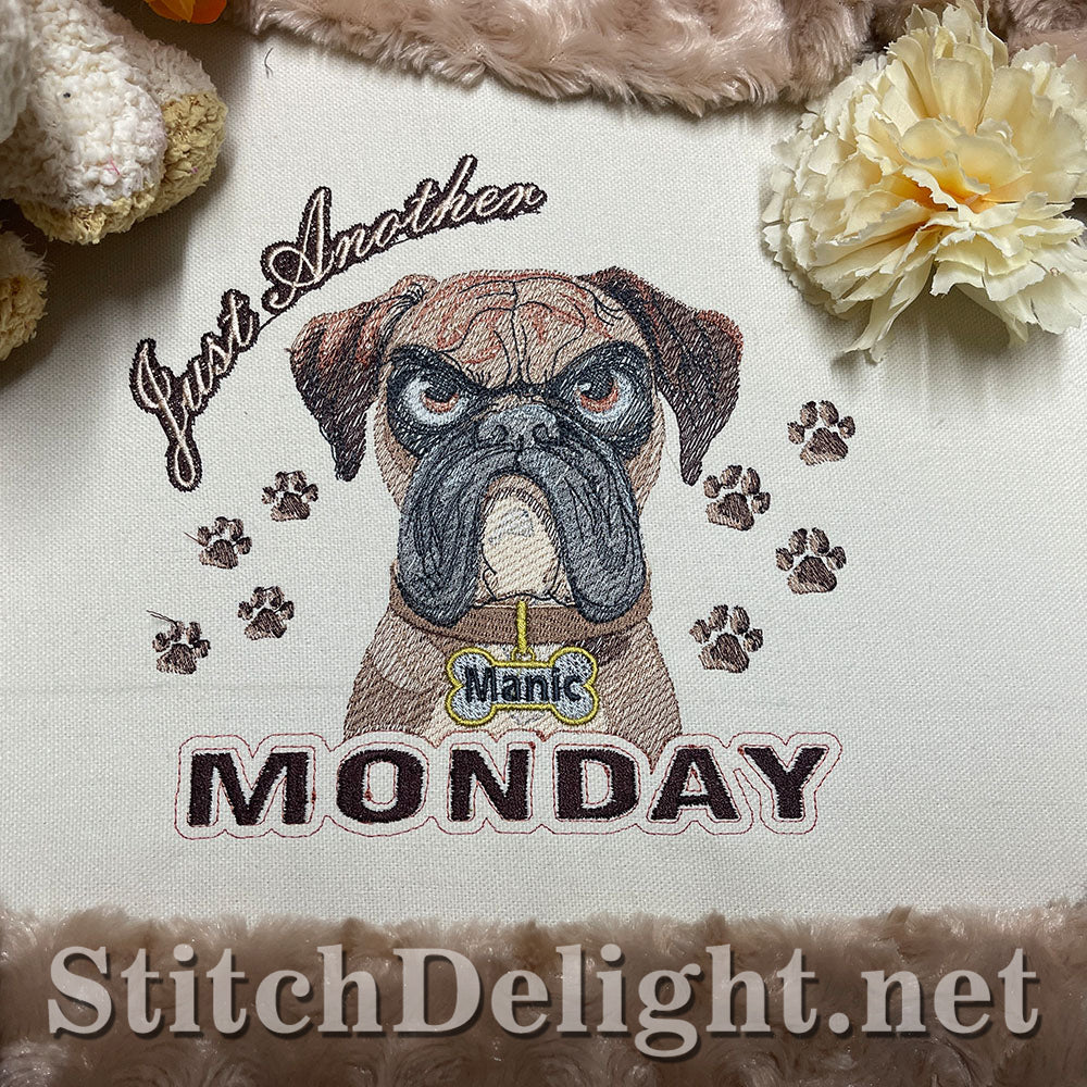 SDS3281 Monday Madness