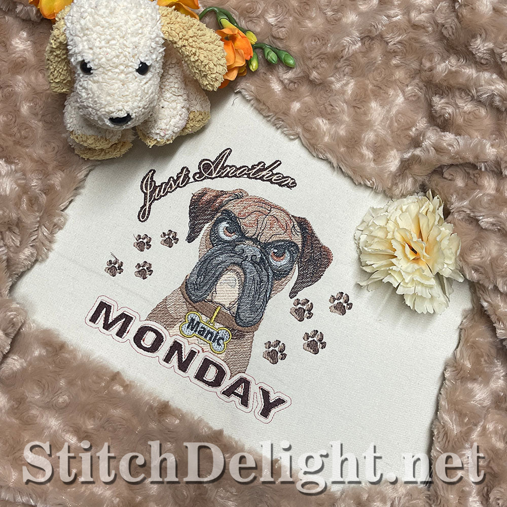 SDS3281 Monday Madness