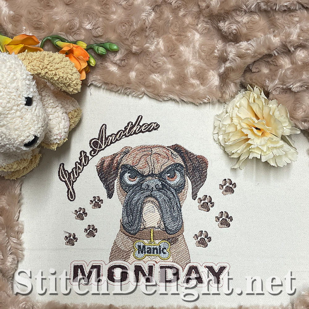 SDS3281 Monday Madness