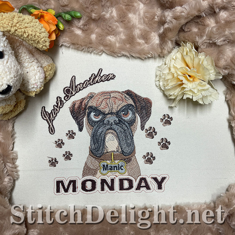 SDS3281 Monday Madness