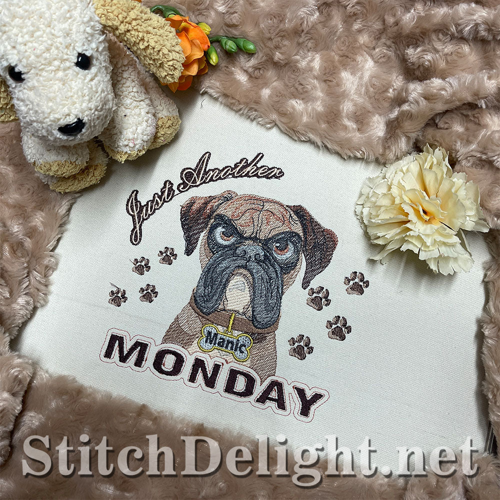 SDS3281 Monday Madness