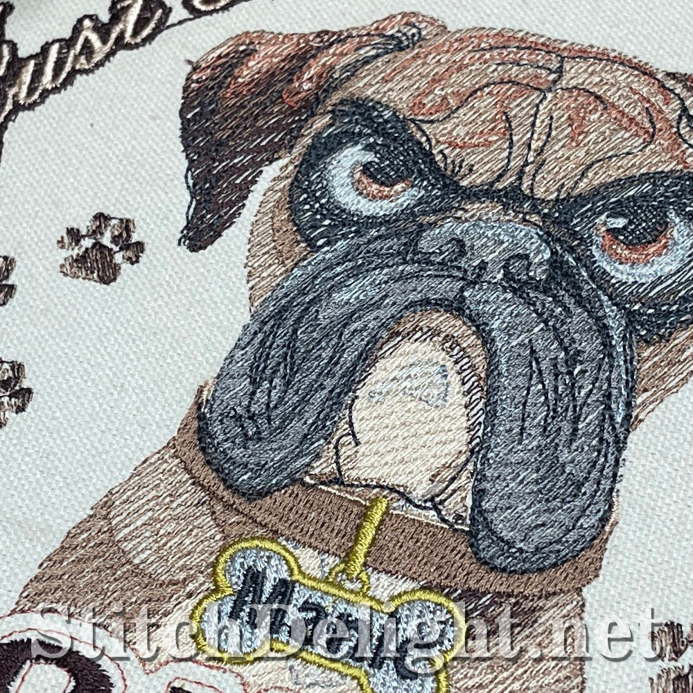 SDS3281 Monday Madness