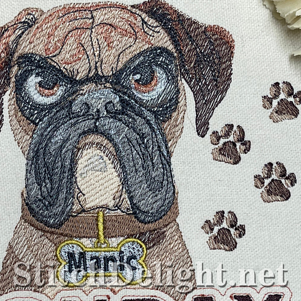 SDS3281 Monday Madness