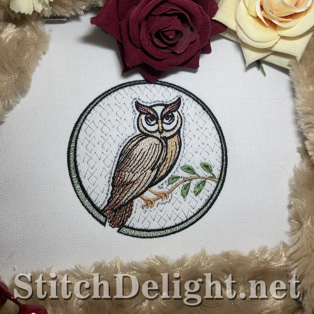 SDS3340 Owl 2