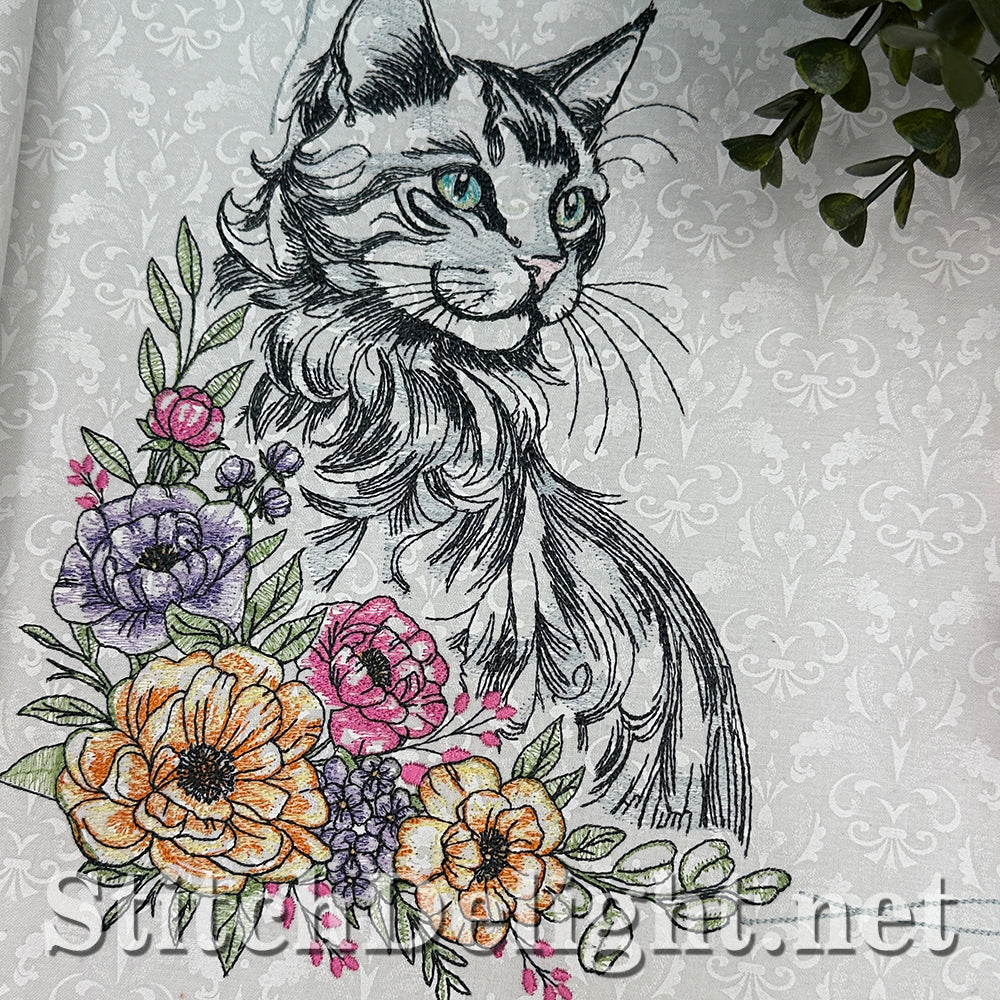 SDS3373 Turkish Angora Cat