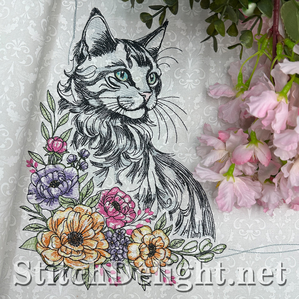 SDS3373 Turkish Angora Cat