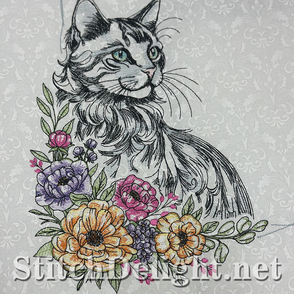 SDS3373 Turkish Angora Cat