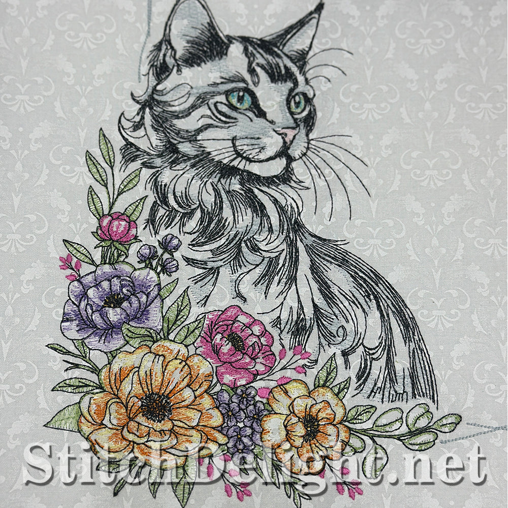 SDS3373 Turkish Angora Cat