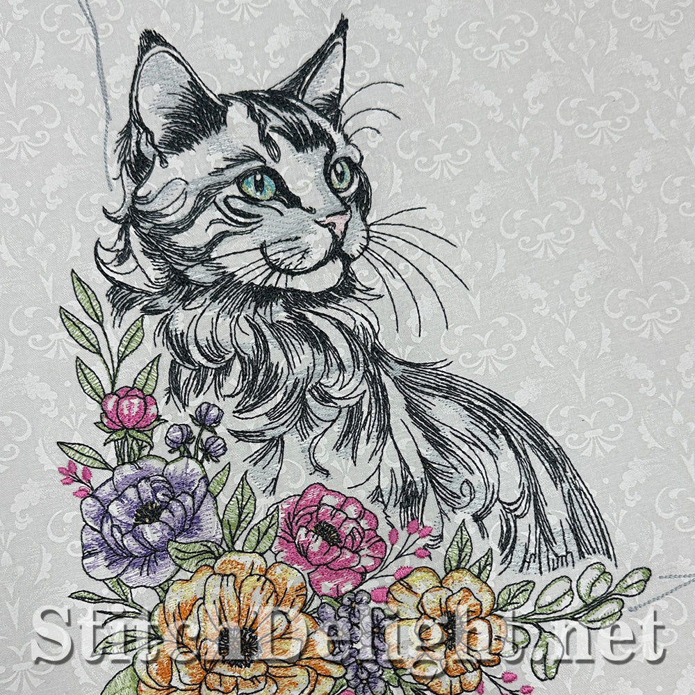 SDS3373 Turkish Angora Cat