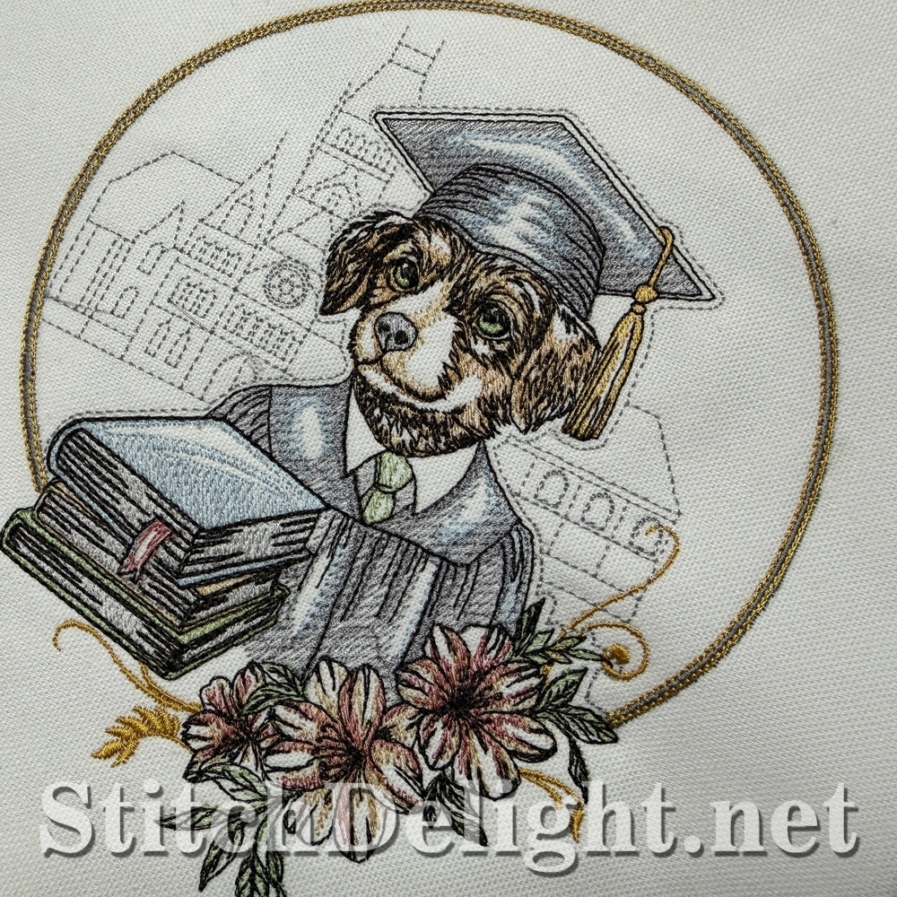 SDS3402 Little Graduate