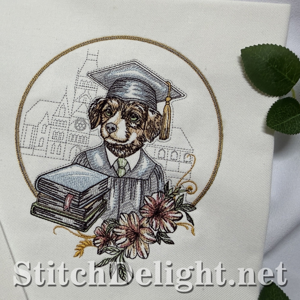 SDS3402 Little Graduate