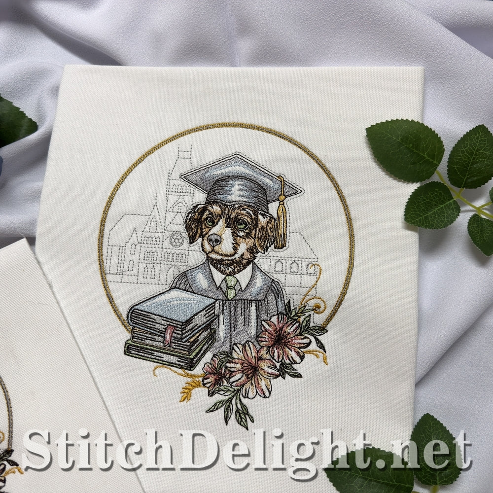 SDS3402 Little Graduate