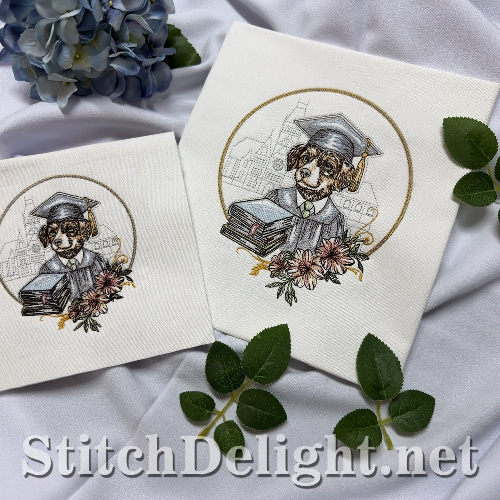 SDS3402 Little Graduate