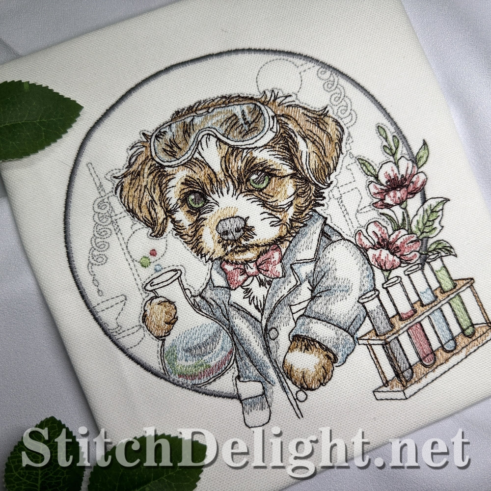 SDS3401 Little Chemist