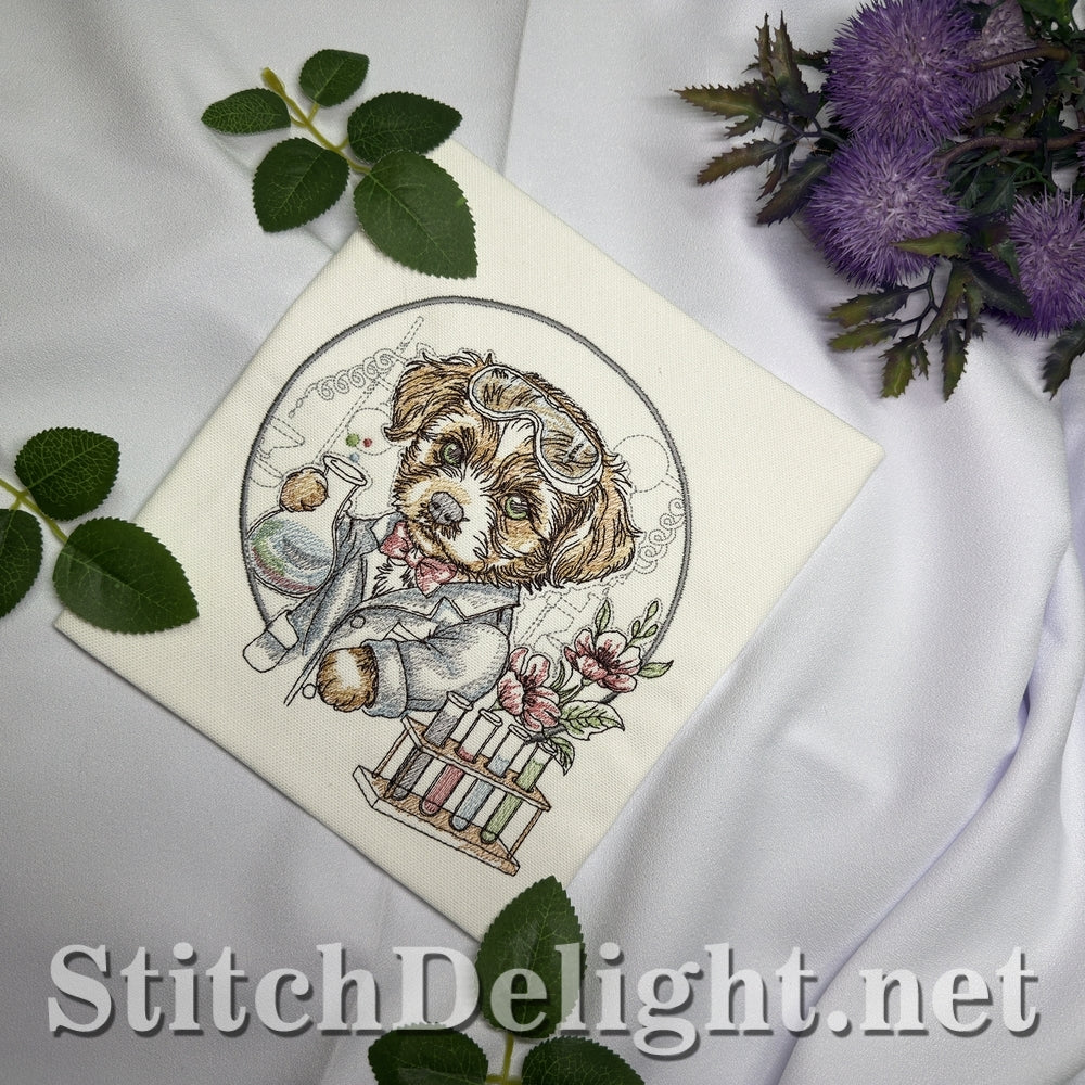 SDS3401 Little Chemist