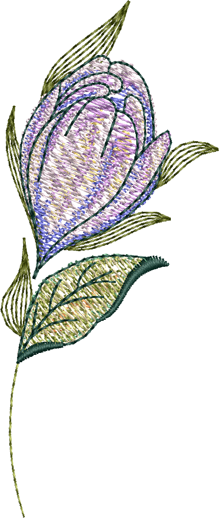 SDS4261 Elegant Swan