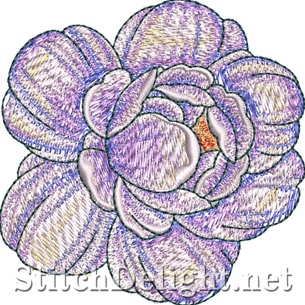 SDS4261 Elegant Swan