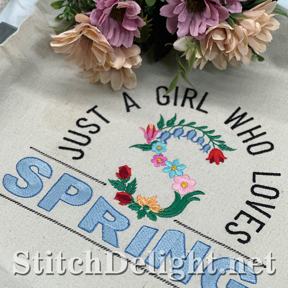 SDS4417 Spring