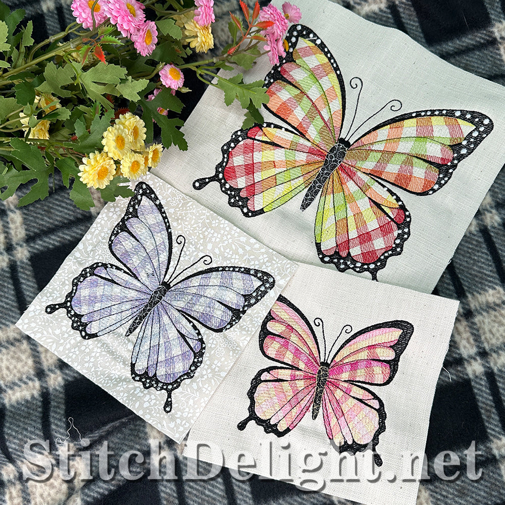 SDS4494 Gingham Butterfly