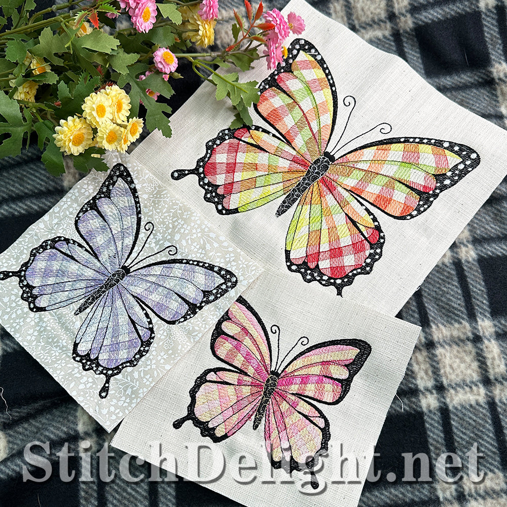 SDS4494 Gingham Butterfly