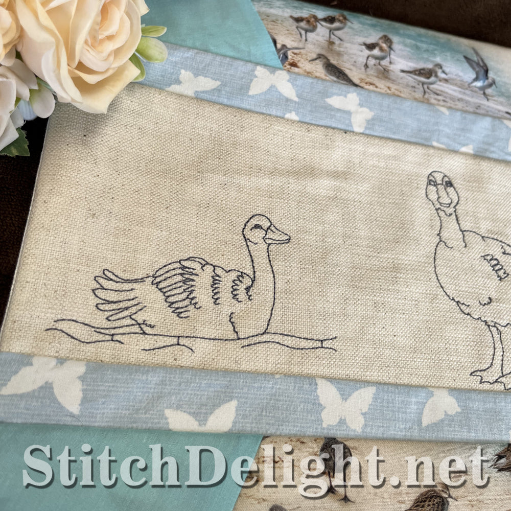 SDS4551 Elegant Swans