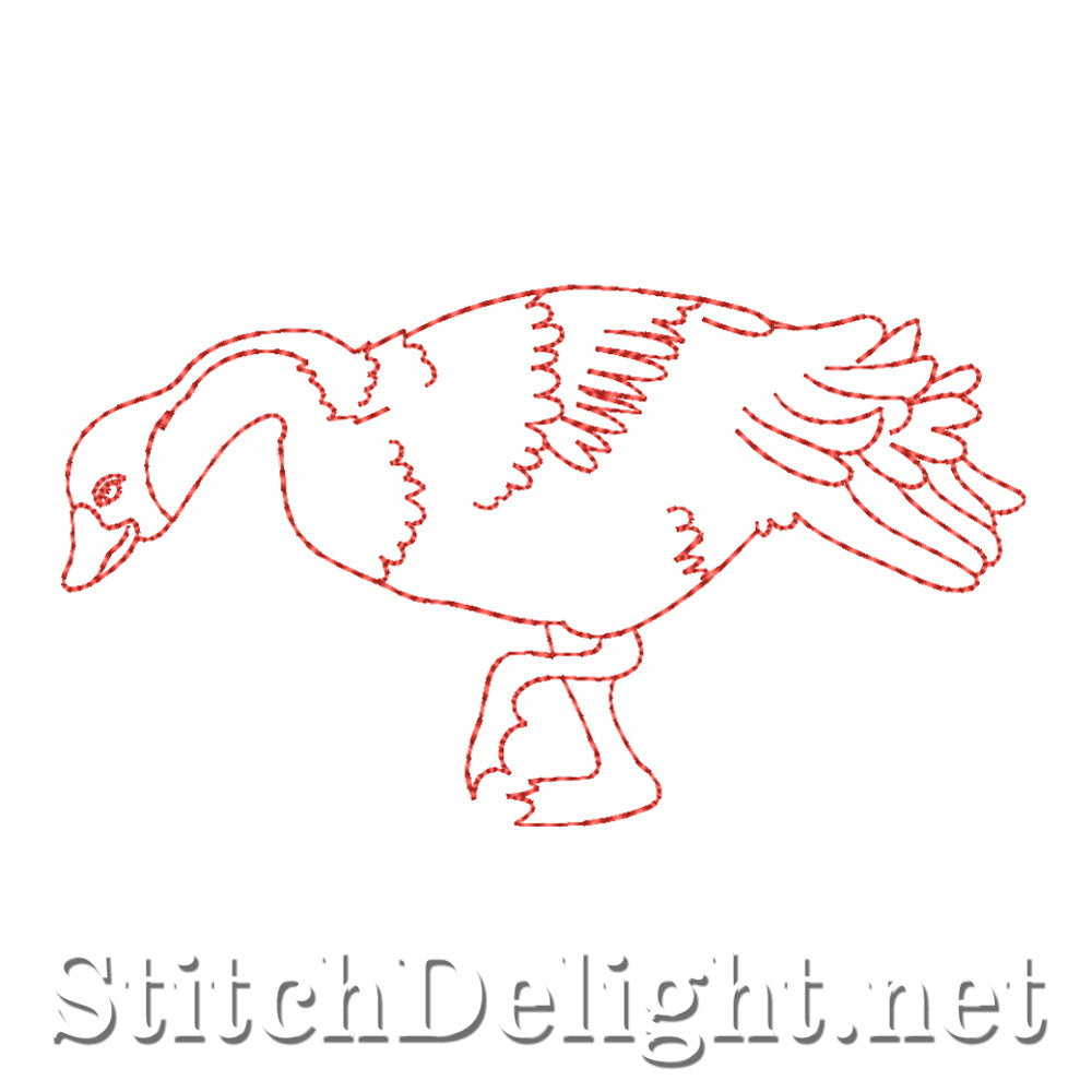 SDS4551 Elegant Swans