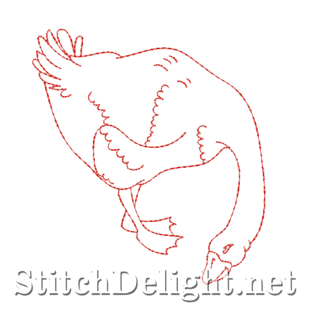 SDS4551 Elegant Swans