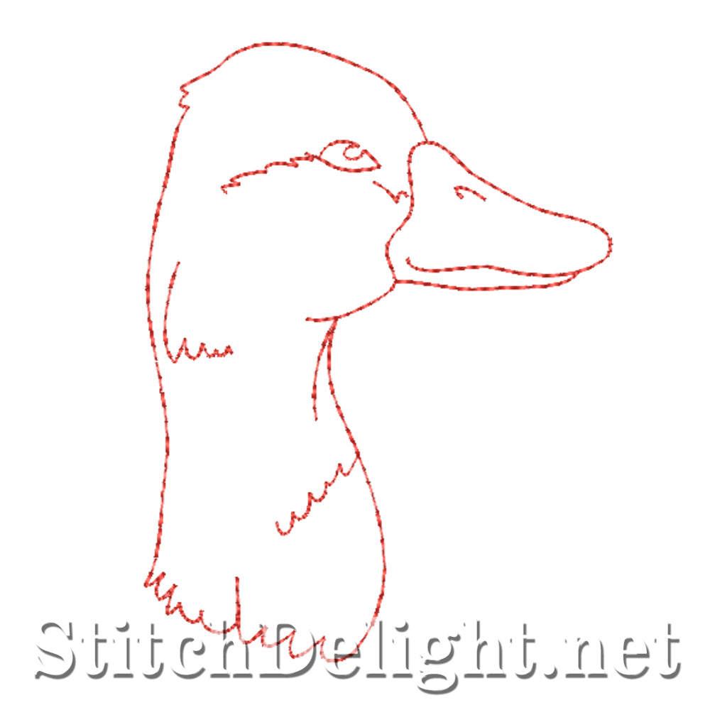 SDS4551 Elegant Swans