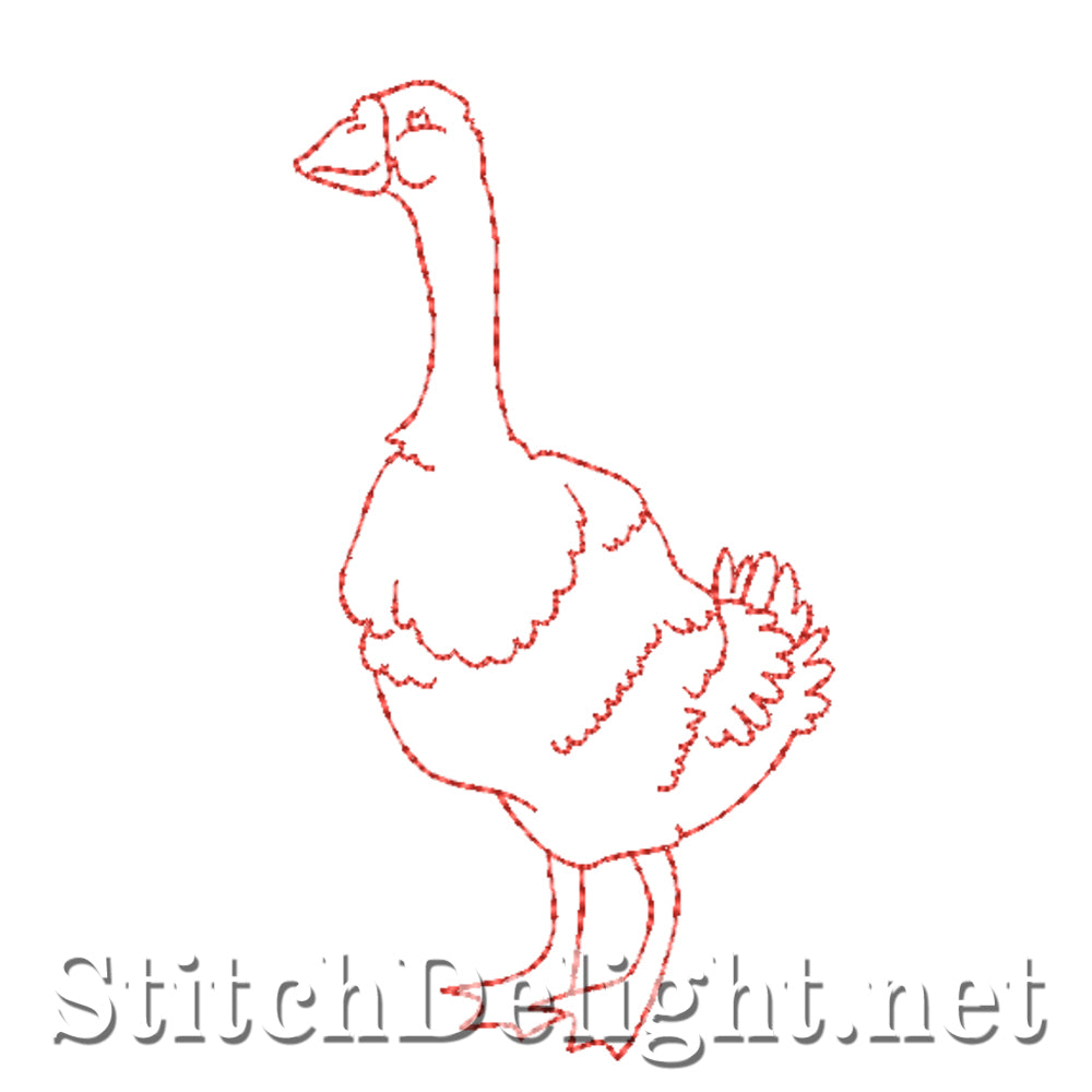 SDS4551 Elegant Swans