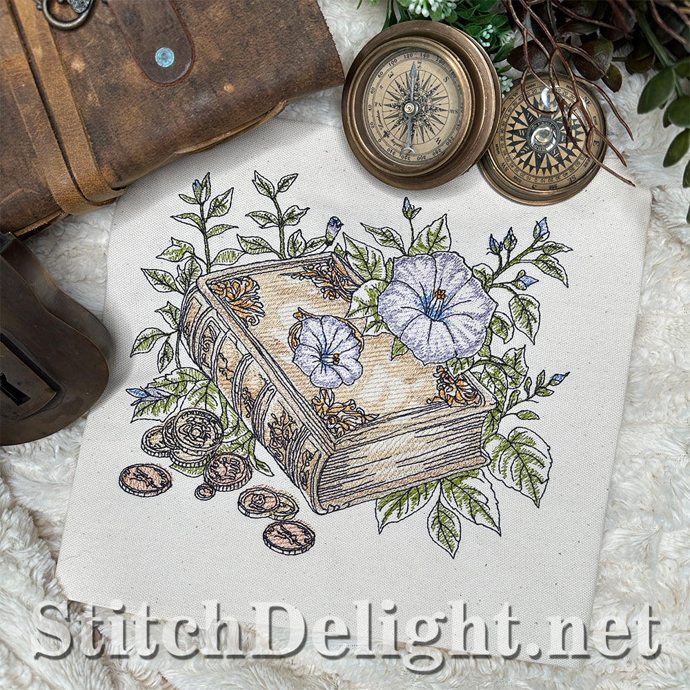 SDS4715 Treasure Hunt The Diary