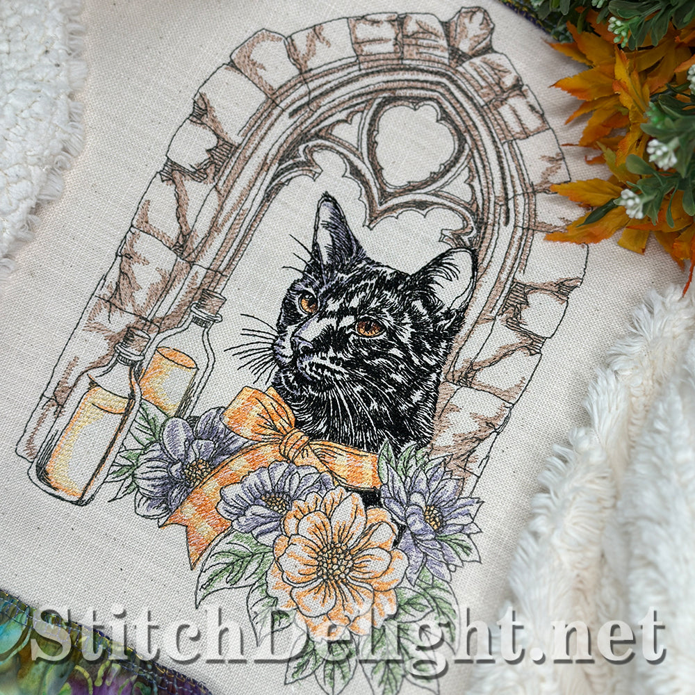 SDS4617 Halloween Night Sir Whiskerwick