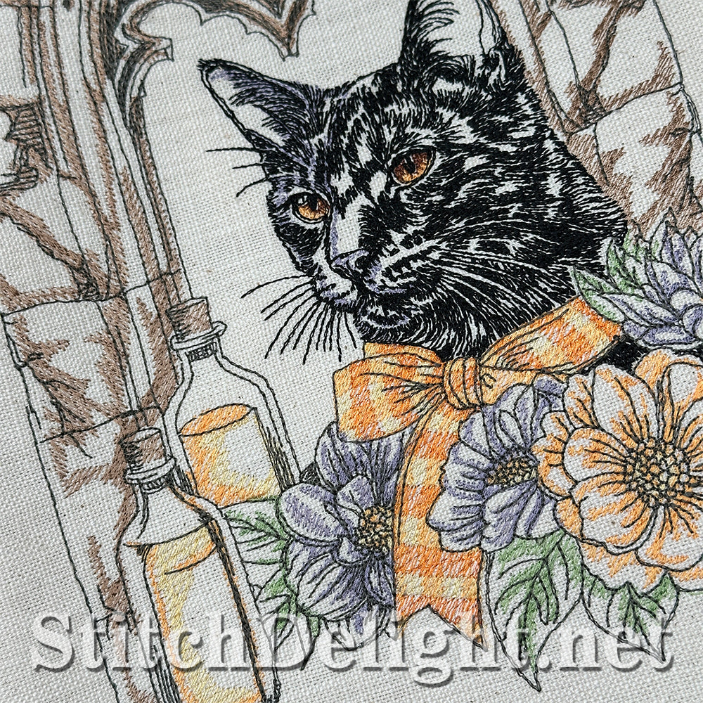 SDS4617 Halloween Night Sir Whiskerwick