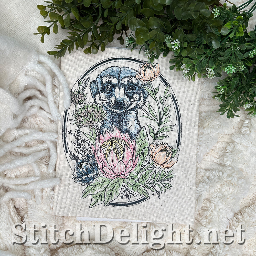 SDS4645 Floral Kingdom Meerkat