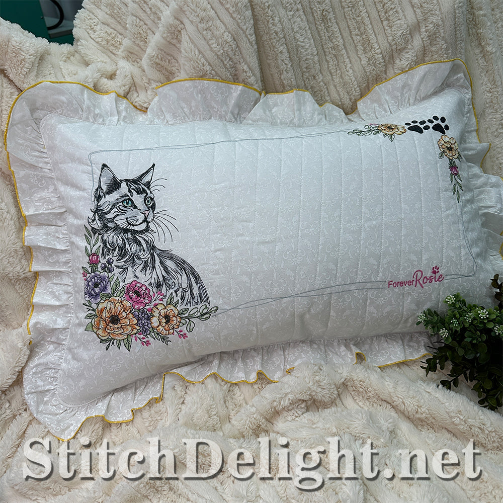 SDS3373 Turkish Angora Cat