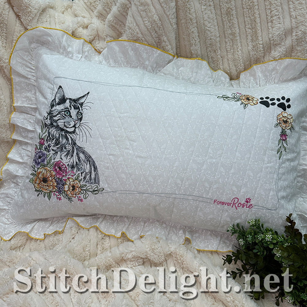 SDS3373 Turkish Angora Cat